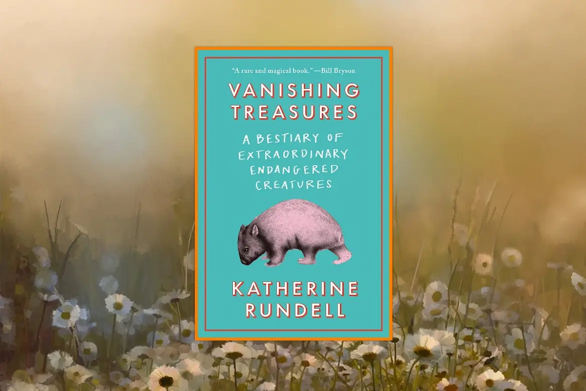 Vanishing Treasures by Katherine Rundell