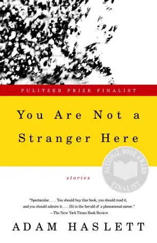 Mothers and Sons author Adam Haslett's You Are Not A Stranger Here